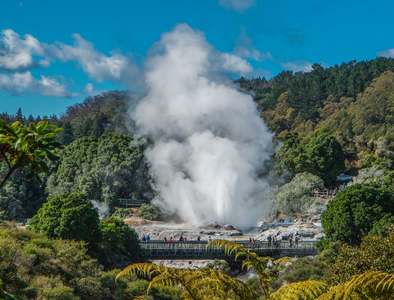 Te Puia cultural and geothermal experience